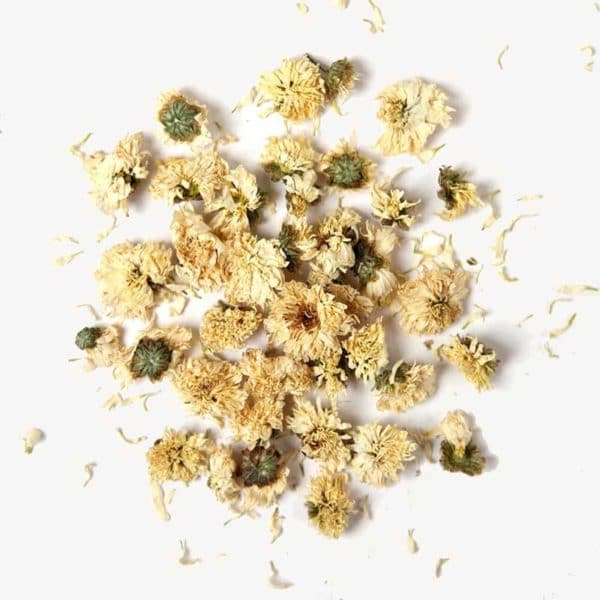 Chrysanthemum Flowers