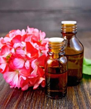 Essential oil Geranium