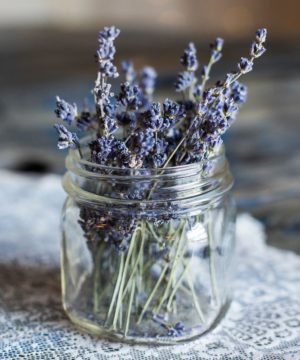 Fragrance Oil - Lavender & Sage