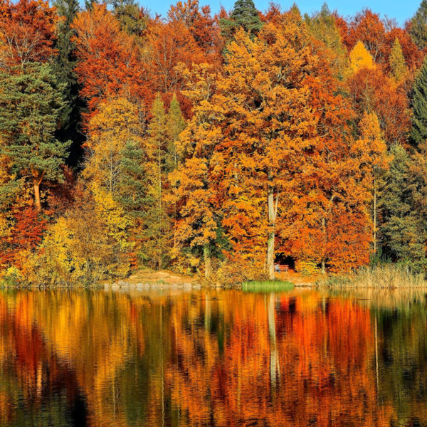 Duftöl - Herbst Tagundnachtgleiche - 100 ml