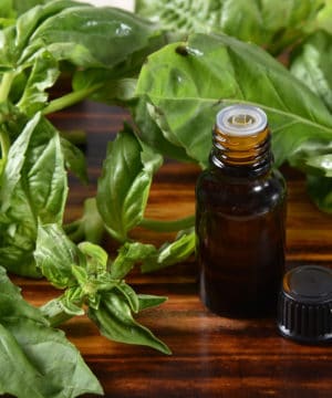 Basil essential oil