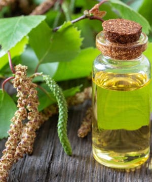 Birch essential oil