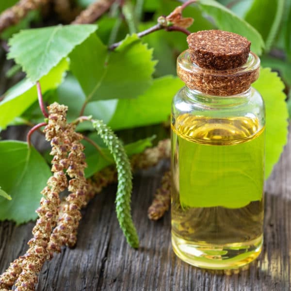 Birch essential oil