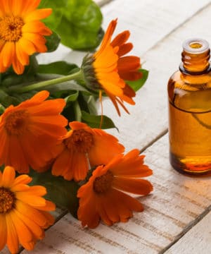 Olio essenziale di calendula