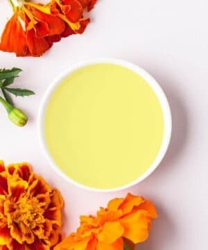 calendula oilie