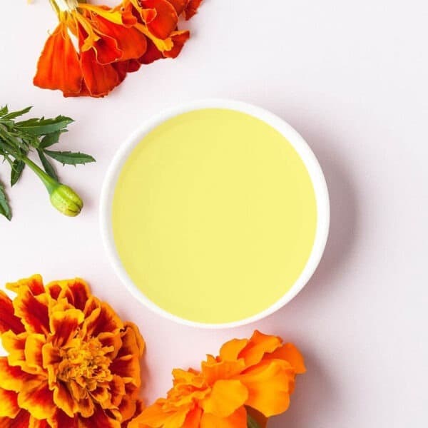 calendula oilie