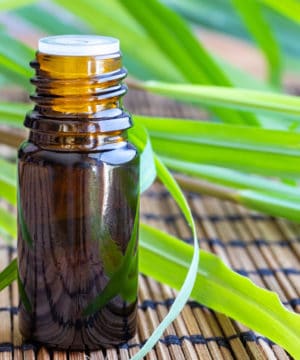 Olio essenziale di citronella