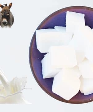 Pouring soap Donkey milk