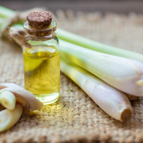 Lemongrass Essential Oil