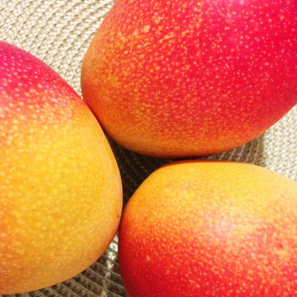 Fragrance oil - Mango Mango - 100 ml