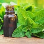 Olio essenziale di menta piperita