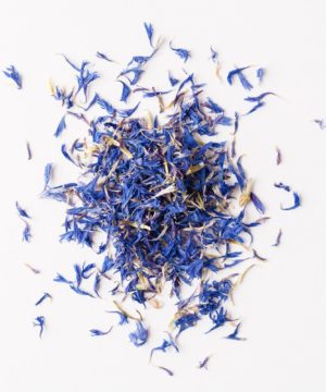 Cornflower Blossoms Blue