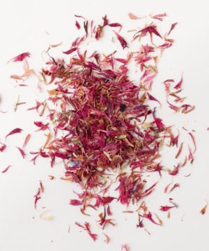 Flores de aciano rosa