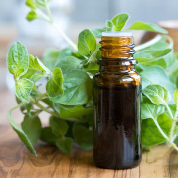 Oregano Essential Oil