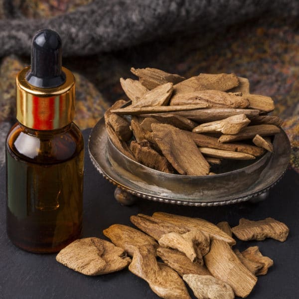 Olio essenziale di Oud (Agarwood)