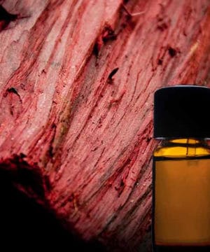 Rosewood Essential Oil - 100 ml