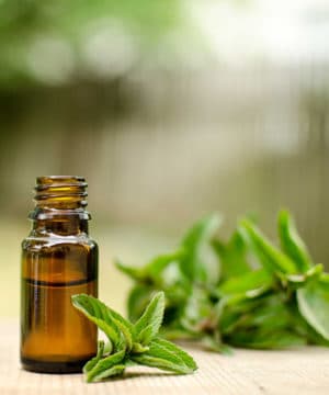 Spearmint Essential Oil