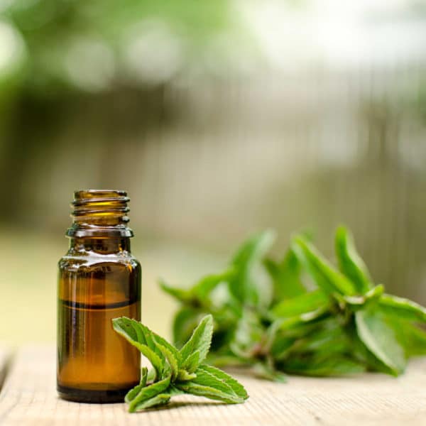 Spearmint Essential Oil