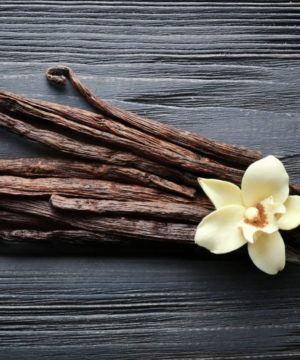 Fragrance Oil - Vanilla