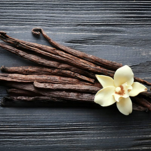 Fragrance Oil - Vanilla