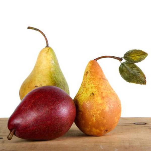 Fragrance oil - Anjou Pear