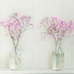 Geurolie - Gipskruid (Baby's Breath)