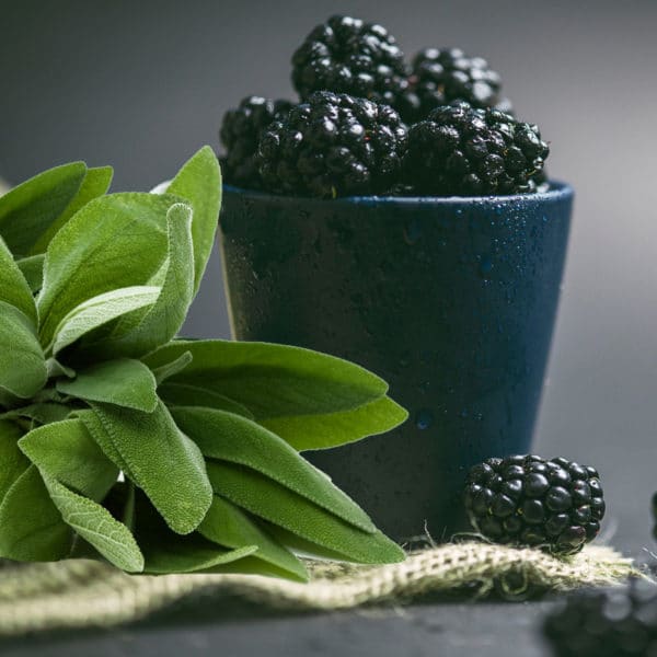 Fragrance oil - Blackberries & Sage