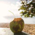 Duftöl - Coconut Paradise