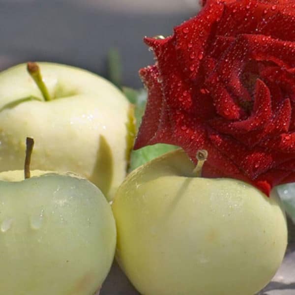 Fragrance oil - Crisp Apple & Rose