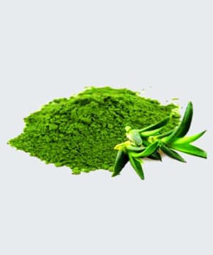 Aloe Vera Concentrated Powder