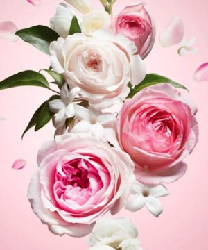 Fragrance Oil - Flower Explosion