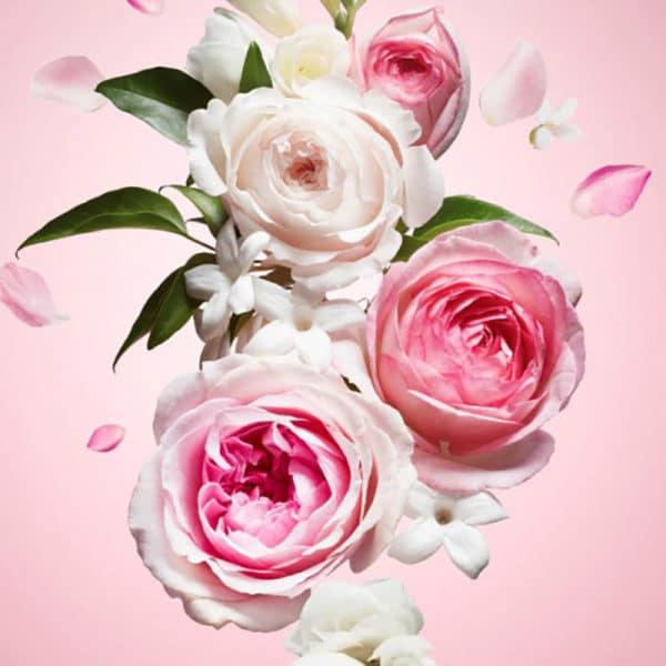 Olio di fragranza - Flowerbomb di Viktor&amp;Rolf Inspired - 10 ml