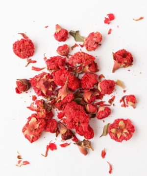 Pomegranate Blossoms