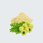 Amla Kruisbes Poeder