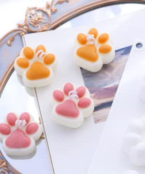 Cat Paw Mold