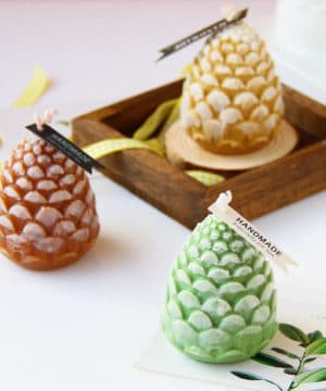 Pine cone Mould