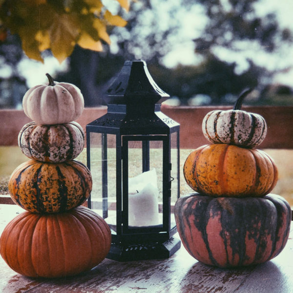 Aceite con fragancia - Sándalo de calabaza