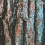 Huile parfumée - Bois d'Oudh - 1 L