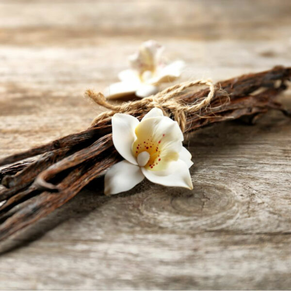 Fragrance oil - Tahitian Vanilla