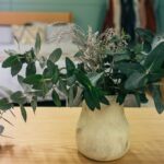 Huile parfumée - Eucalyptus frais