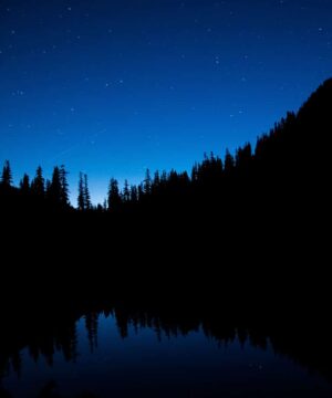 Aceite perfumado - Sauvar