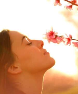 Parfümöl - Alianne