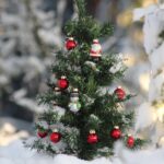 Aceite con fragancia - Bosque de Navidad