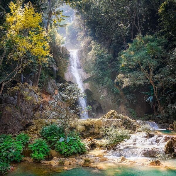 Aceite con fragancia - Jungle Waterfall