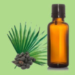 Aceite esencial de palma enana americana