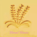 Lavendel Zeepstempel Lavendel Zeepstempel