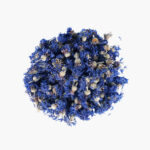 Korenbloem Bloesems Blauw Heel