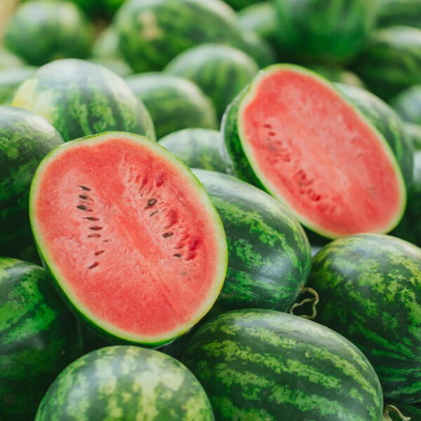 Parfümöl - Wassermelone