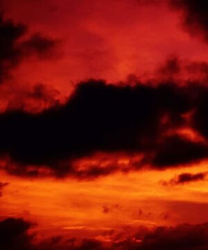 Olio di fragranza - Da Celsius a Fahrenheit