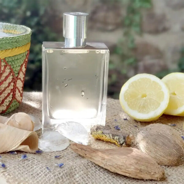 Huile de parfum - Terre d'Hermes Inspired